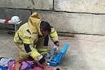 Проведены учебно-тренировочные занятия на опасном производственном объекте ТОО «Альтаир» Проведены учебно-тренировочные занятия на опасном производственном объекте ТОО «Альтаир»
